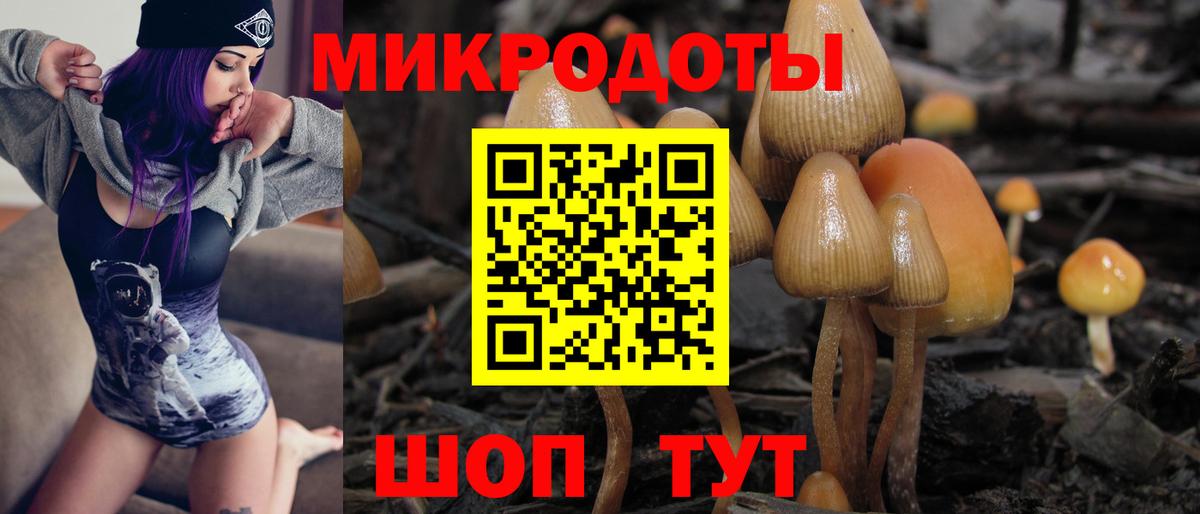 Псилоцибиновые грибы ЛСД  Вход с VPN  Псилоцибиновые грибы ЛСД  Хабаровск 